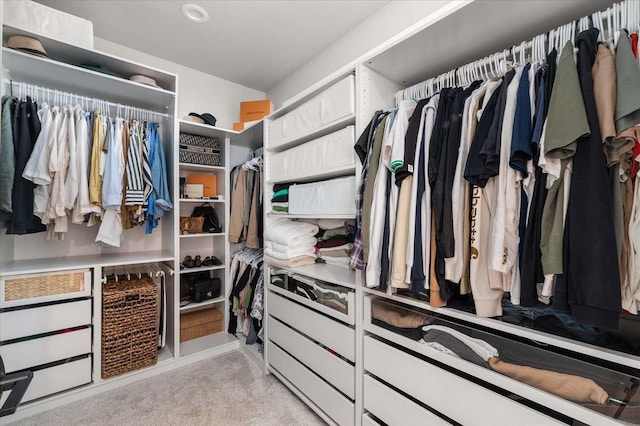 9610 S Mullen Hill Rd, Spokane, WA 99224 - spacious closet featuring light colored carpet