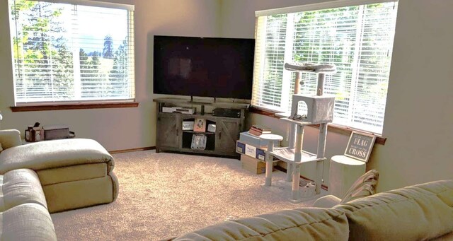 633C Garvey Rd, Colville, WA 99114 - living area with carpet and baseboards
