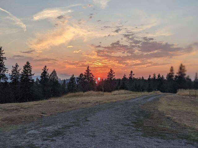 633C Garvey Rd, Colville, WA 99114 - view of road