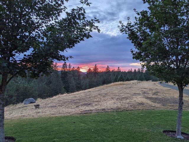 633C Garvey Rd, Colville, WA 99114 - view of green lawn