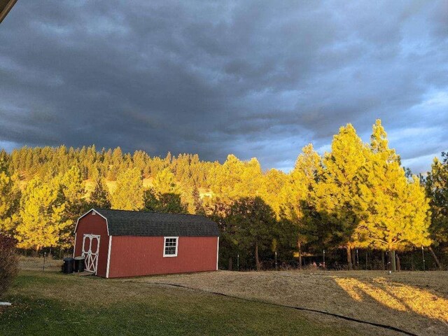 633C Garvey Rd, Colville, WA 99114 - view of grassy yard with a storage shed and a wooded view