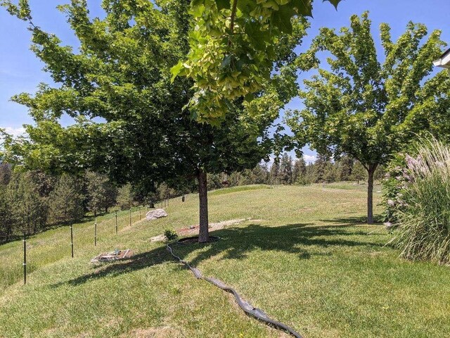 633C Garvey Rd, Colville, WA 99114 - view of yard