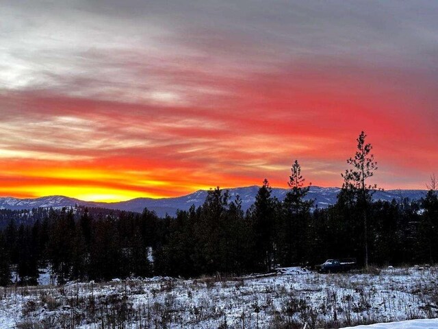 633C Garvey Rd, Colville, WA 99114 - view of mountain backdrop