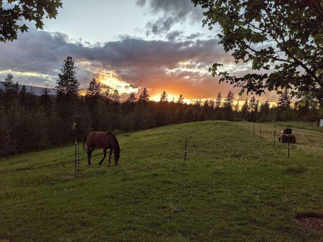 633C Garvey Rd, Colville, WA 99114 - yard at dusk with a rural view and a yard