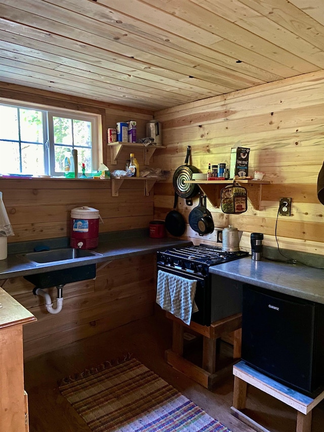 TBD Buck Creek Rd, Newport, WA 99156 - kitchen with wood ceiling and wooden walls