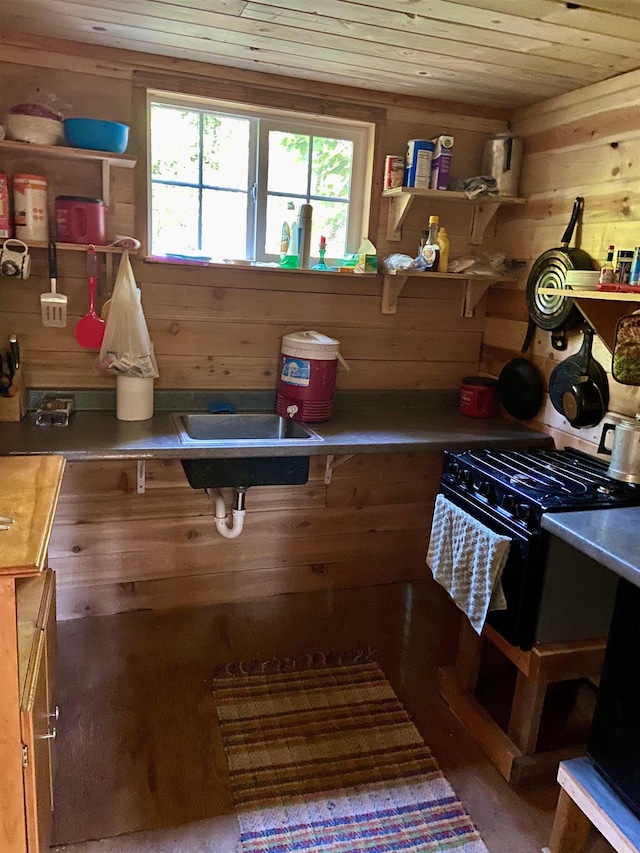 TBD Buck Creek Rd, Newport, WA 99156 - mudroom featuring wooden ceiling, wooden walls, and wood finished floors