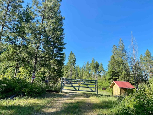 TBD Buck Creek Rd, Newport, WA 99156 - view of yard featuring a view of trees