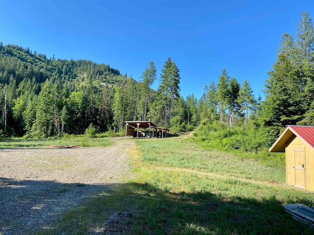 TBD Buck Creek Rd, Newport, WA 99156 - view of yard with a forest view and an outbuilding