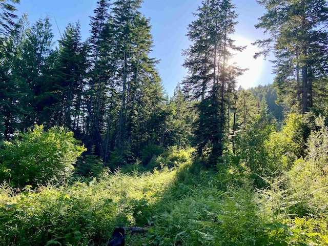 TBD Buck Creek Rd, Newport, WA 99156 - view of tree filled area