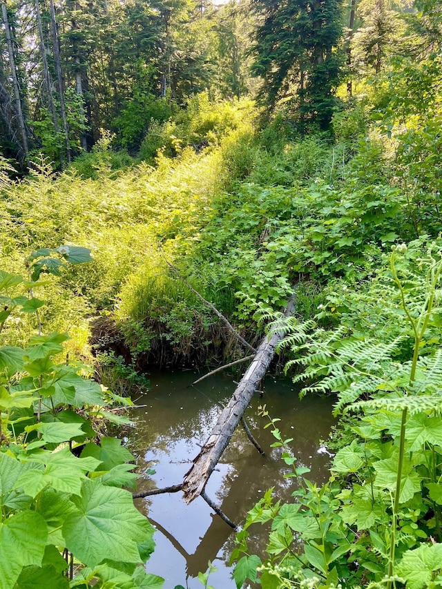 TBD Buck Creek Rd, Newport, WA 99156 - view of undeveloped land