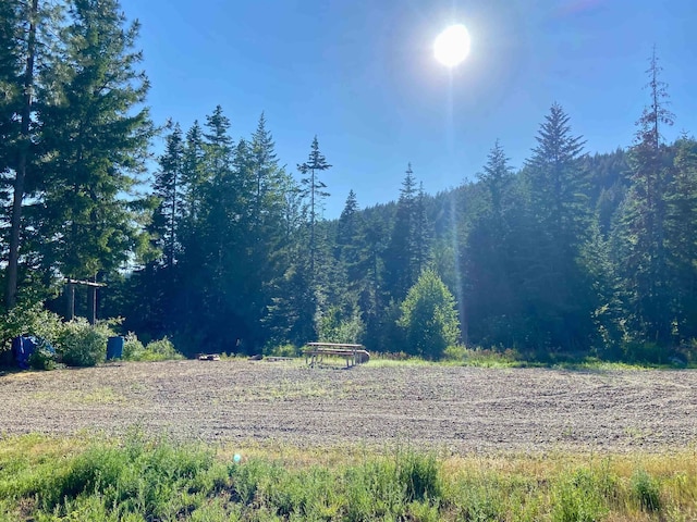 TBD Buck Creek Rd, Newport, WA 99156 - view of yard with a forest view