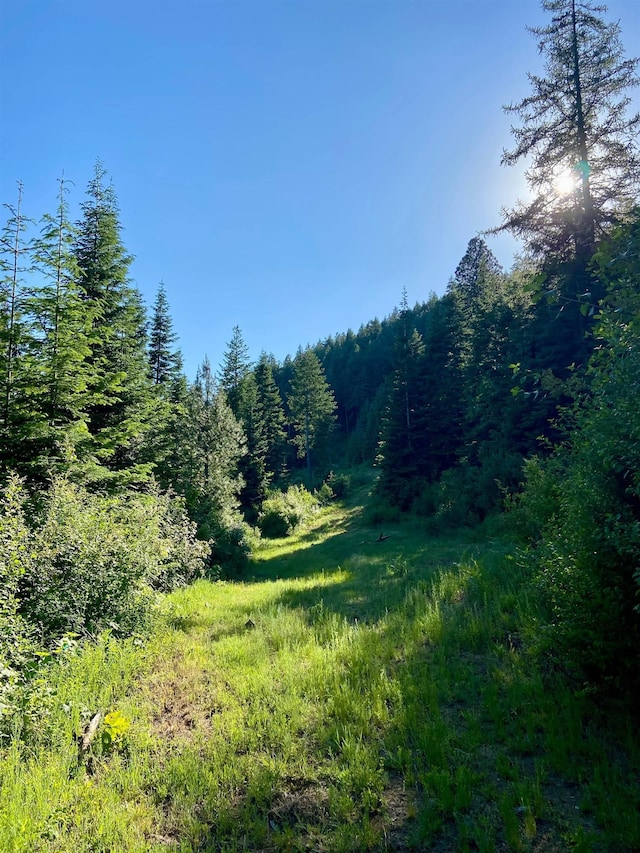 TBD Buck Creek Rd, Newport, WA 99156 - view of wooded area