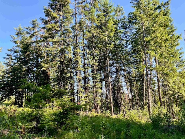 TBD Buck Creek Rd, Newport, WA 99156 - view of wooded area