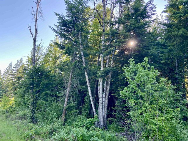 TBD Buck Creek Rd, Newport, WA 99156 - view of woods