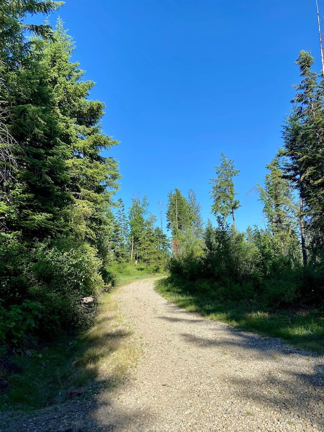 TBD Buck Creek Rd, Newport, WA 99156 - view of street featuring a forest view