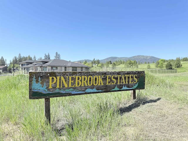 813 Tamarack Ln, Chewelah, WA 99109 - exterior view of a mountainous background