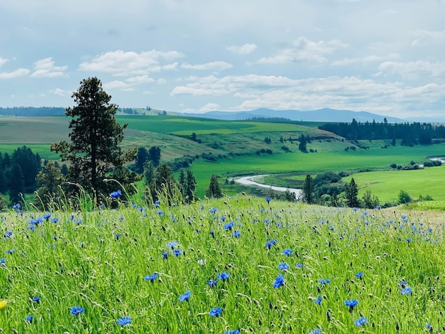 11900 Hays Rd Lot A Parcel 9030, Spangle, WA 99031