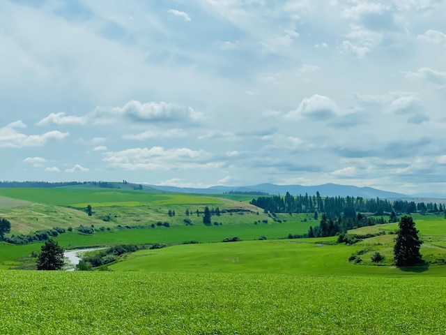 11900 Hays Rd Lot A Parcel 9030, Spangle, WA 99031