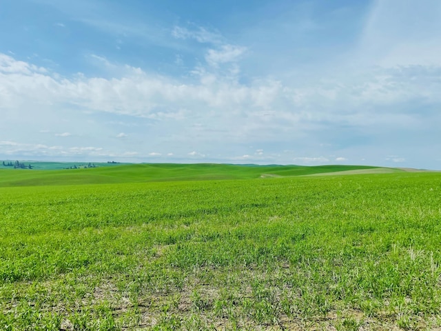 11900 Hays Rd Lot A Parcel 9030, Spangle, WA 99031