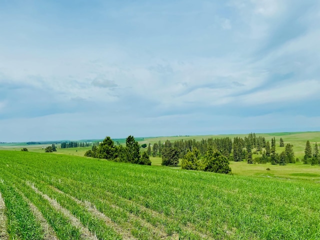 11900 Hays Rd Lot A Parcel 9030, Spangle, WA 99031