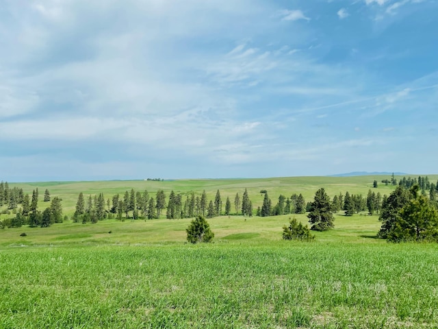 11900 Hays Rd Lot A Parcel 9030, Spangle, WA 99031