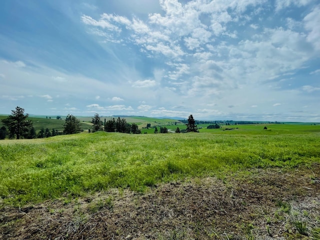 11900 Hays Rd Lot A Parcel 9030, Spangle, WA 99031