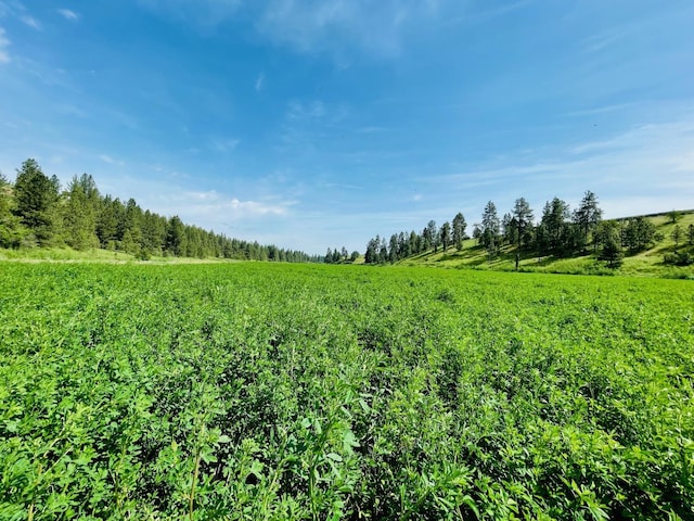 11900 Hays Rd Lot A Parcel 9030, Spangle, WA 99031