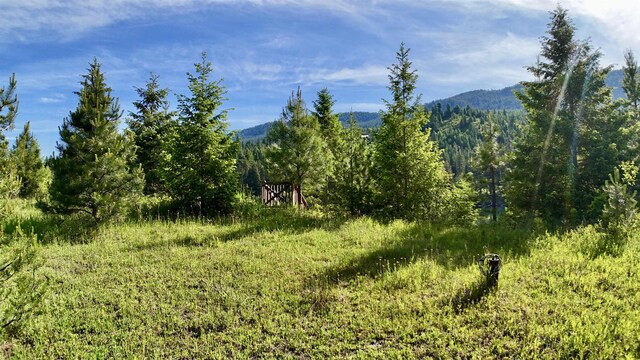 21 E Joyner Dr, Cusick, WA 99119 - photo 17