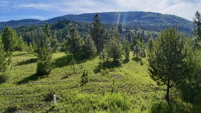 21 E Joyner Dr, Cusick, WA 99119 - photo 18