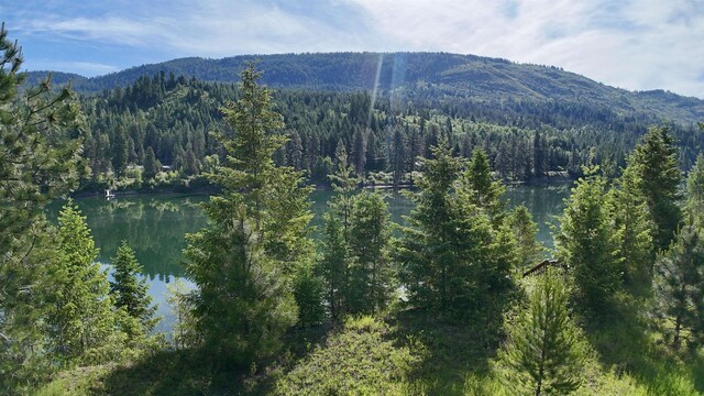 21 E Joyner Dr, Cusick, WA 99119 - photo 20