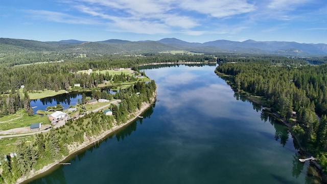21 E Joyner Dr, Cusick, WA 99119 - photo 3