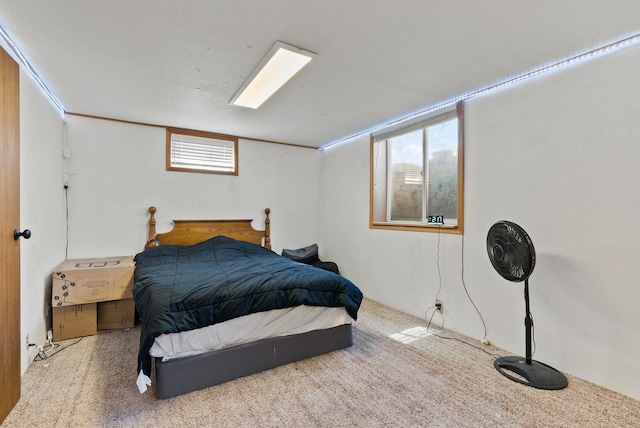 12217 S Gardner Rd, Cheney, WA 99004 - photo 21
