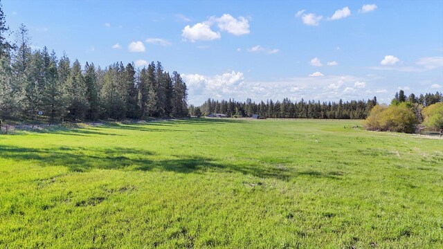 12217 S Gardner Rd, Cheney, WA 99004 - photo 4