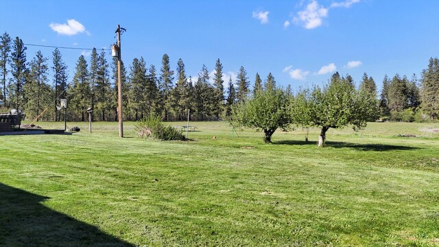 12217 S Gardner Rd, Cheney, WA 99004 - photo 36