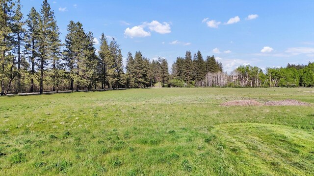 12217 S Gardner Rd, Cheney, WA 99004 - photo 38