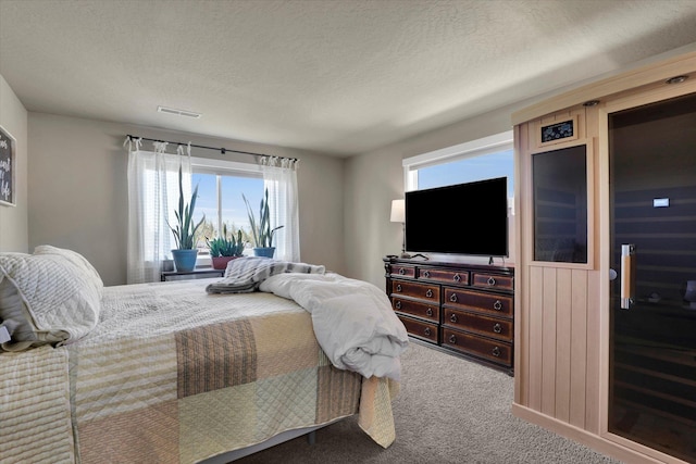 726 E Colbert Rd, Colbert, WA 99005 - bedroom with carpet flooring, multiple windows, a sauna / steam room, and a textured ceiling