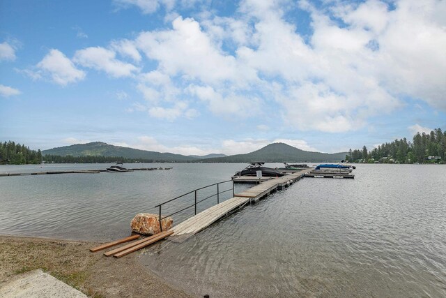 41987 Shore Acres Rd, Loon Lake, WA 99148 - photo 35