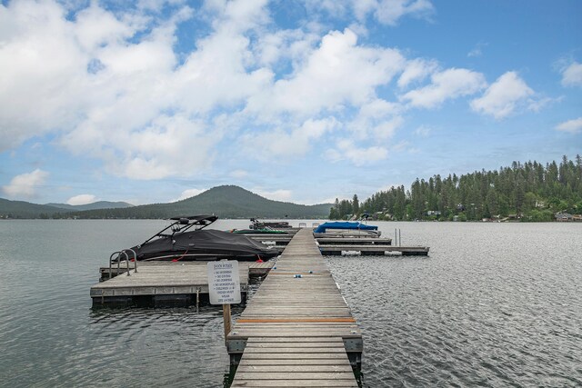 41987 Shore Acres Rd, Loon Lake, WA 99148 - photo 36
