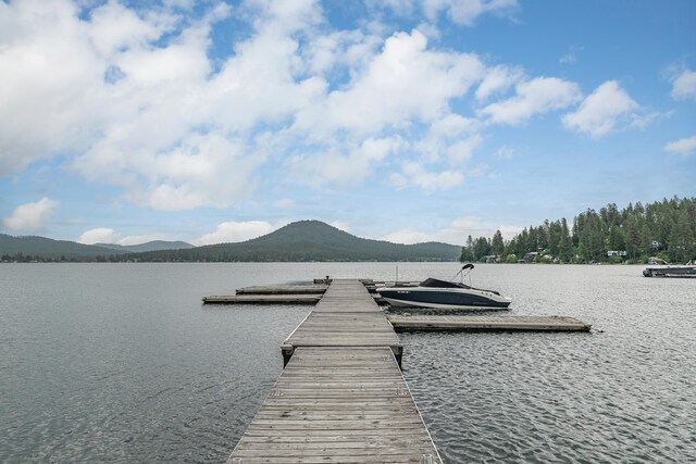 41987 Shore Acres Rd, Loon Lake, WA 99148 - photo 37