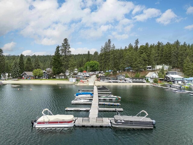 41987 Shore Acres Rd, Loon Lake, WA 99148 - photo 39