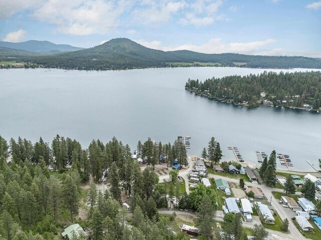 41987 Shore Acres Rd, Loon Lake, WA 99148 - photo 45