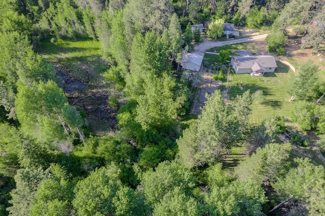 38823 N Newport Hwy, Elk, WA 99009 - view of subject property