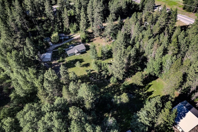 38823 N Newport Hwy, Elk, WA 99009 - drone / aerial view