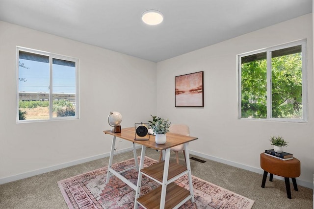 1501 N Lily Rd, Spokane, WA 99212 - carpeted office space featuring plenty of natural light