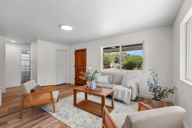 1501 N Lily Rd, Spokane, WA 99212 - living area with healthy amount of natural light and light wood-style floors
