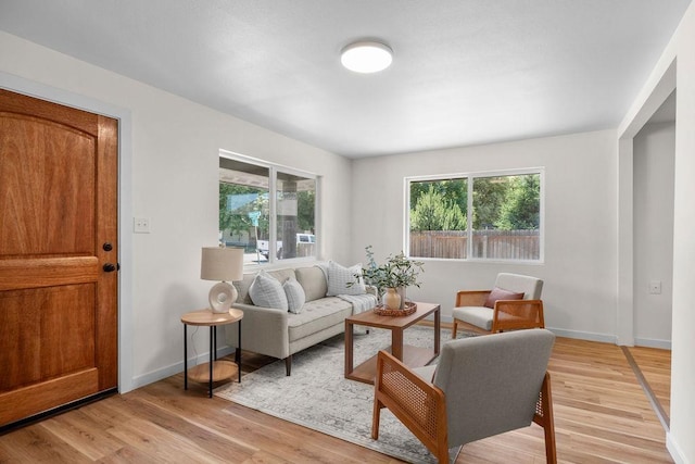 1501 N Lily Rd, Spokane, WA 99212 - living area with light wood-style flooring