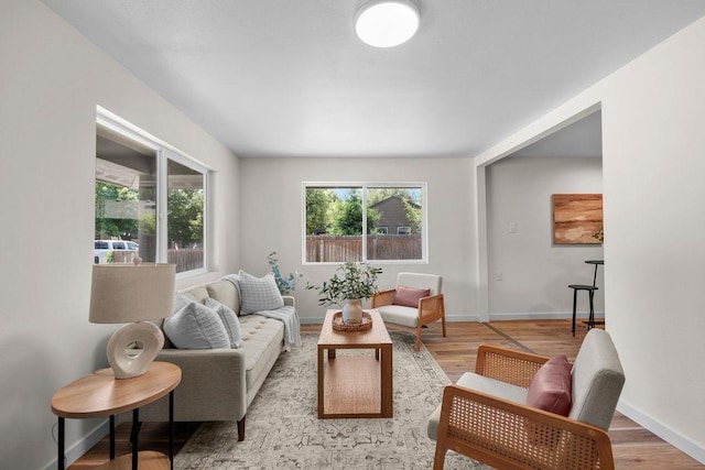 1501 N Lily Rd, Spokane, WA 99212 - living room with light wood-style floors and baseboards