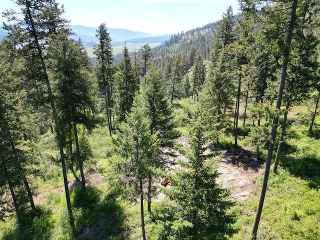 842TBD Valley Westside Rd, Colville, WA 99114 - photo 1