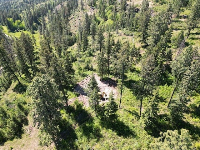 842TBD Valley Westside Rd, Colville, WA 99114 - photo 2