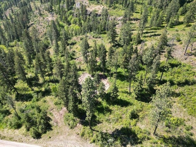 842TBD Valley Westside Rd, Colville, WA 99114 - photo 5